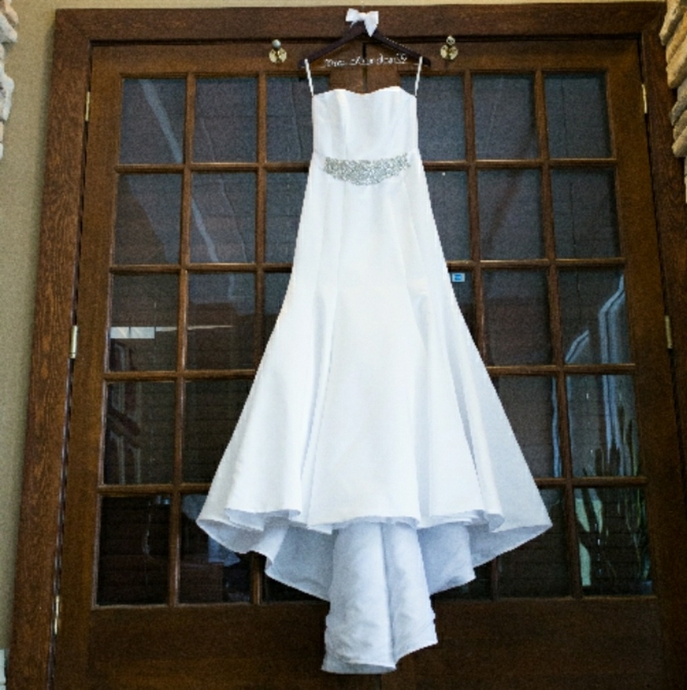 **SET**  dress, cath veil with rhinestones & slip